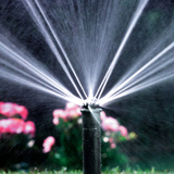 pop up sprinkler