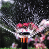 pop up sprinkler